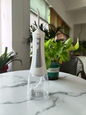 White PA01 cordless water flosser with blue box, nozzles and charging cable