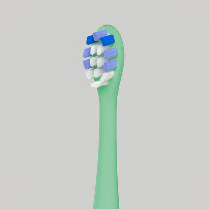 Sonic Electric Toothbrush in Artistic Colors